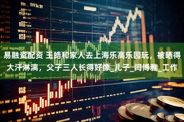 易融资配资 王皓和家人去上海乐高乐园玩，被晒得大汗淋漓，父子三人长得好像_儿子_闫博雅_工作