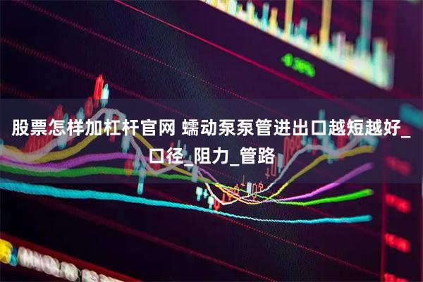 股票怎样加杠杆官网 蠕动泵泵管进出口越短越好_口径_阻力_管路